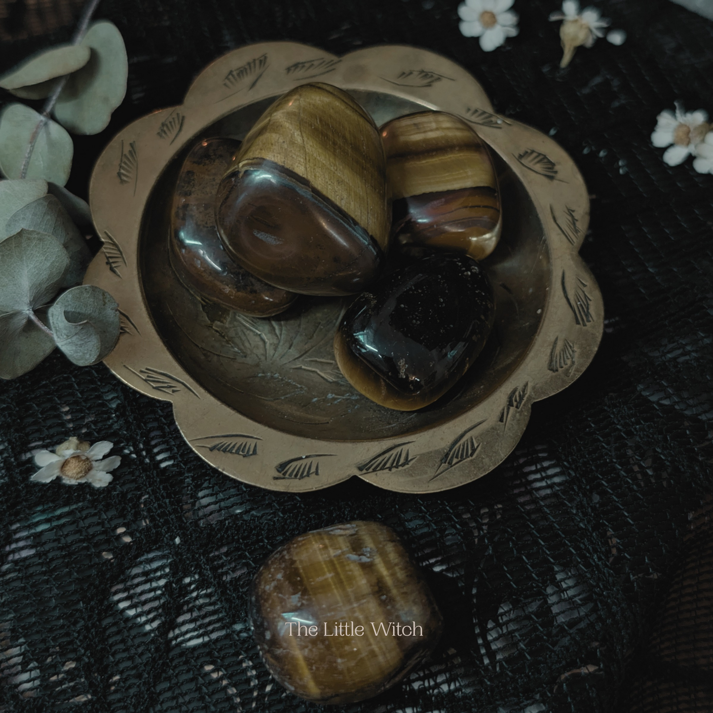 Tiger Eye