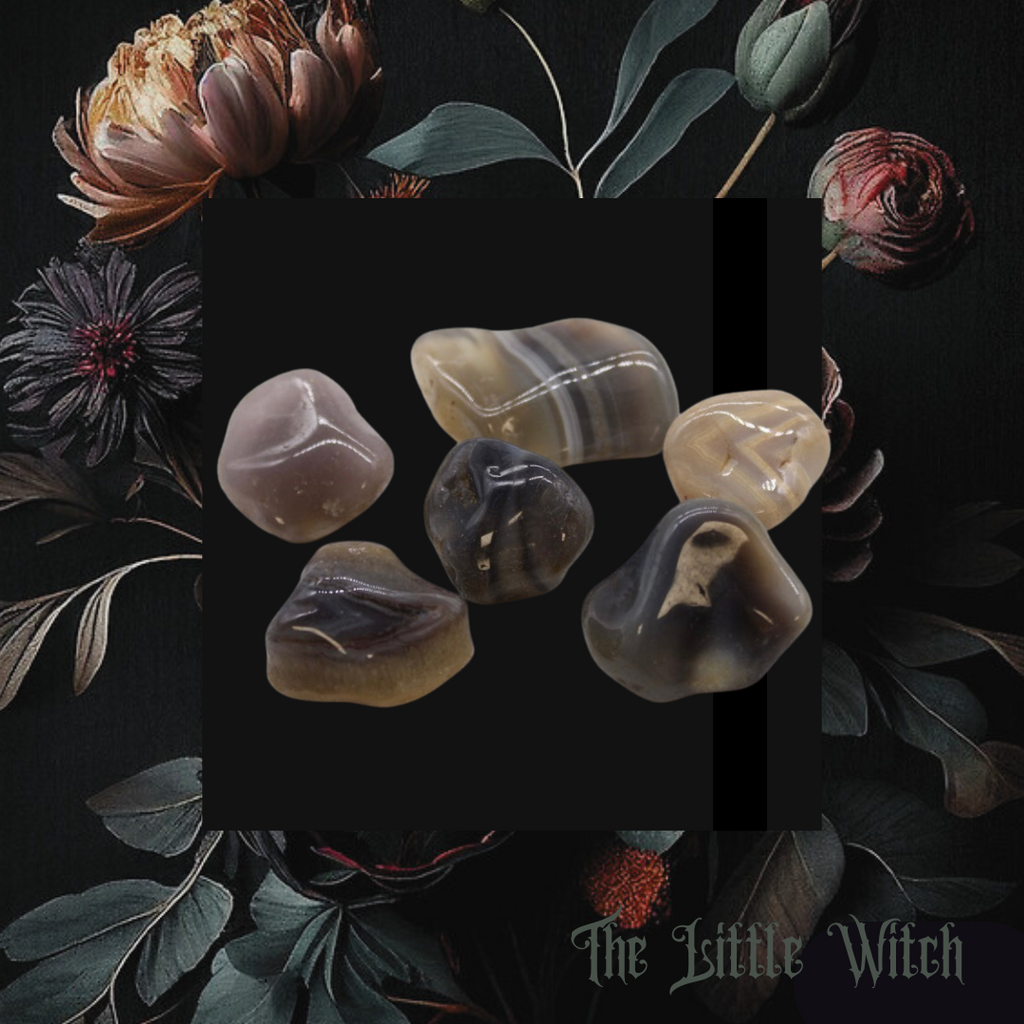 A selection of botswana agate crystals with a black and floral witchy background
