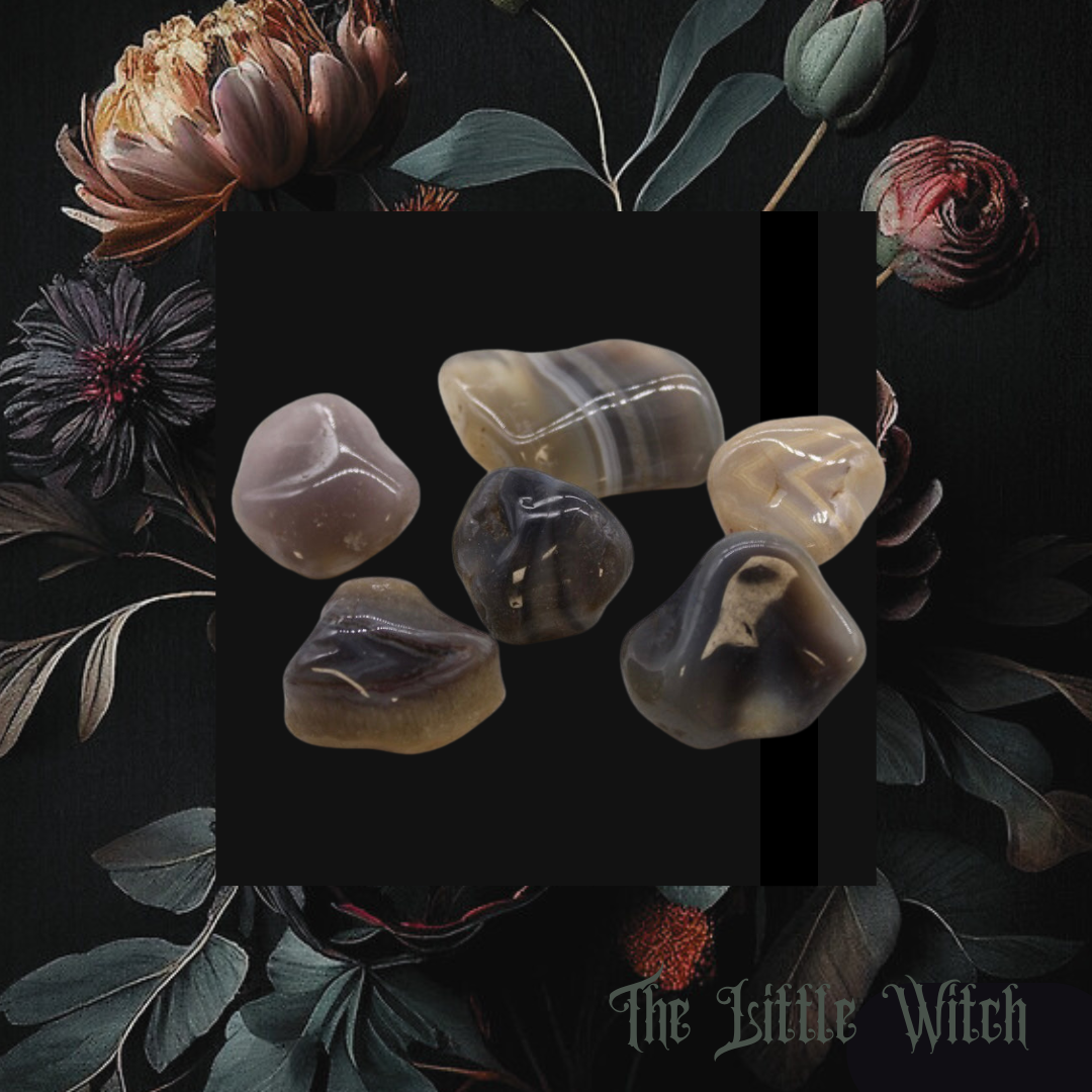 A selection of botswana agate crystals with a black and floral witchy background