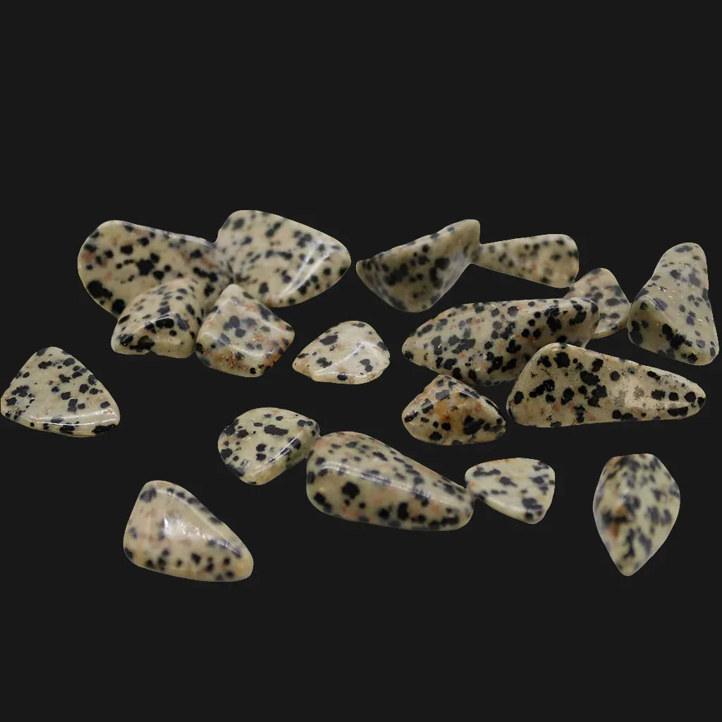 Collection of Dalmatian Jasper stones on a black background