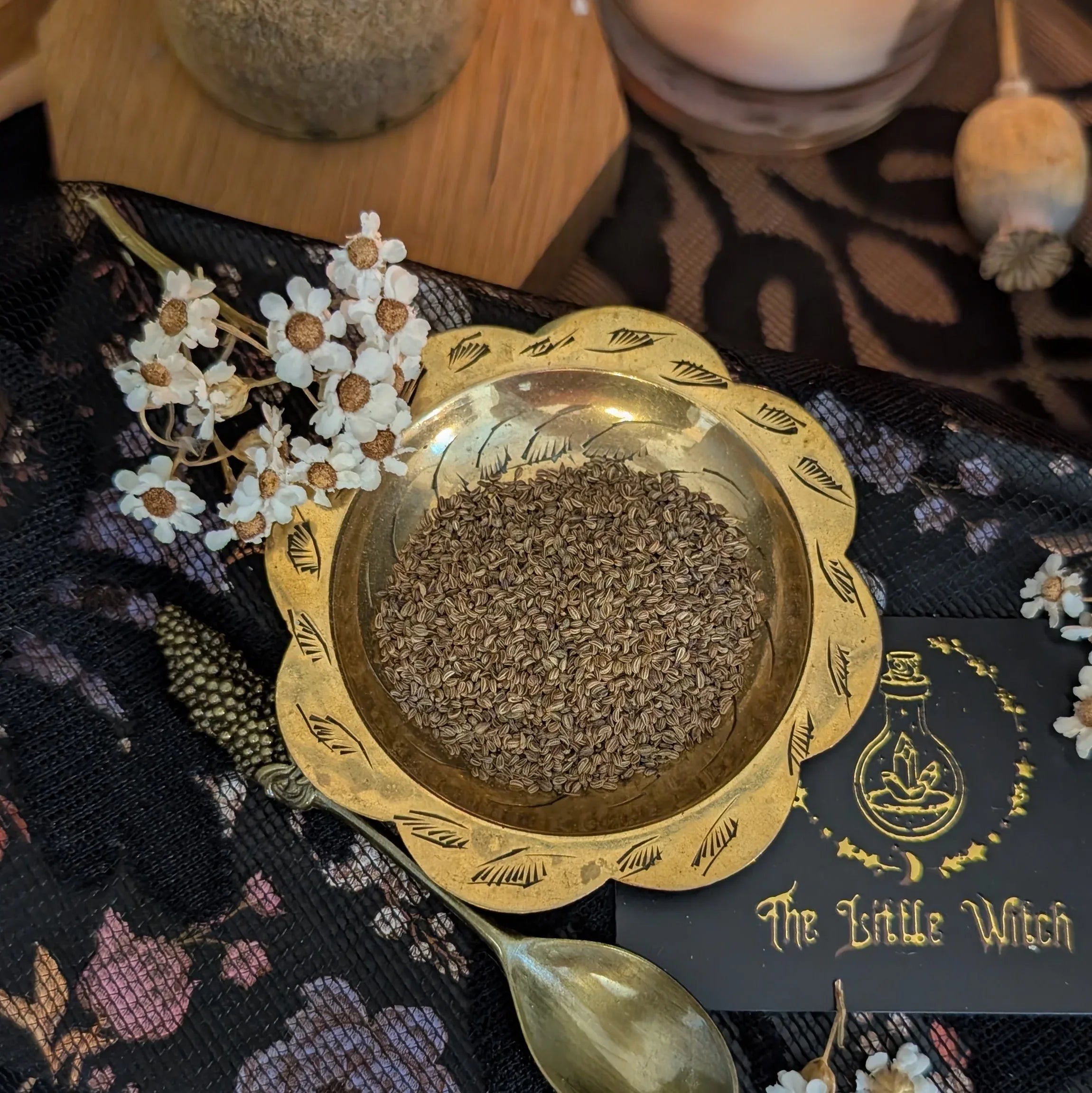 Gold spoon with dried lovage  on a decorative surface with 'The Little Witch' branding.