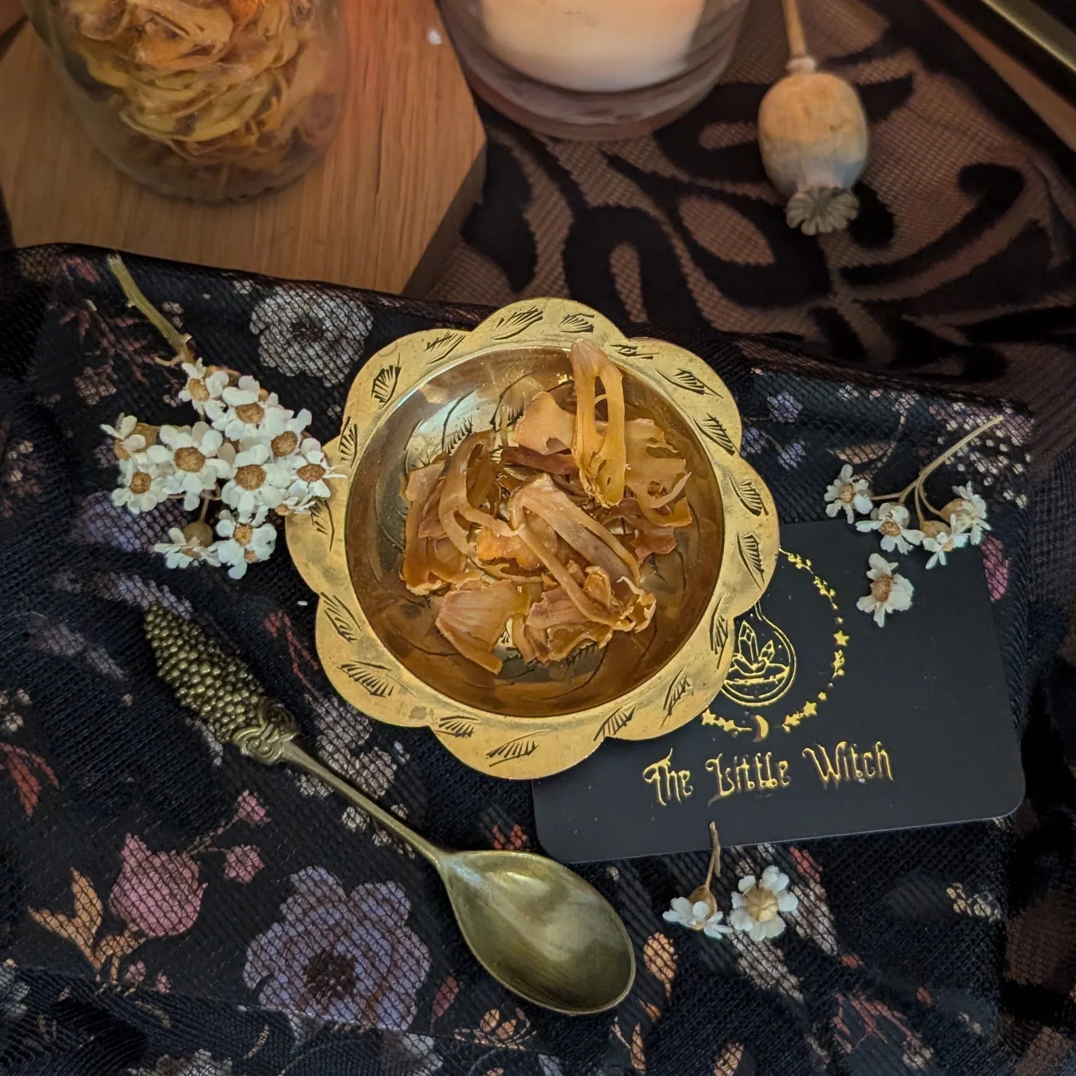 Gold bowl with dried Mace on a dark fabric background with 'The Little Witch' branding.