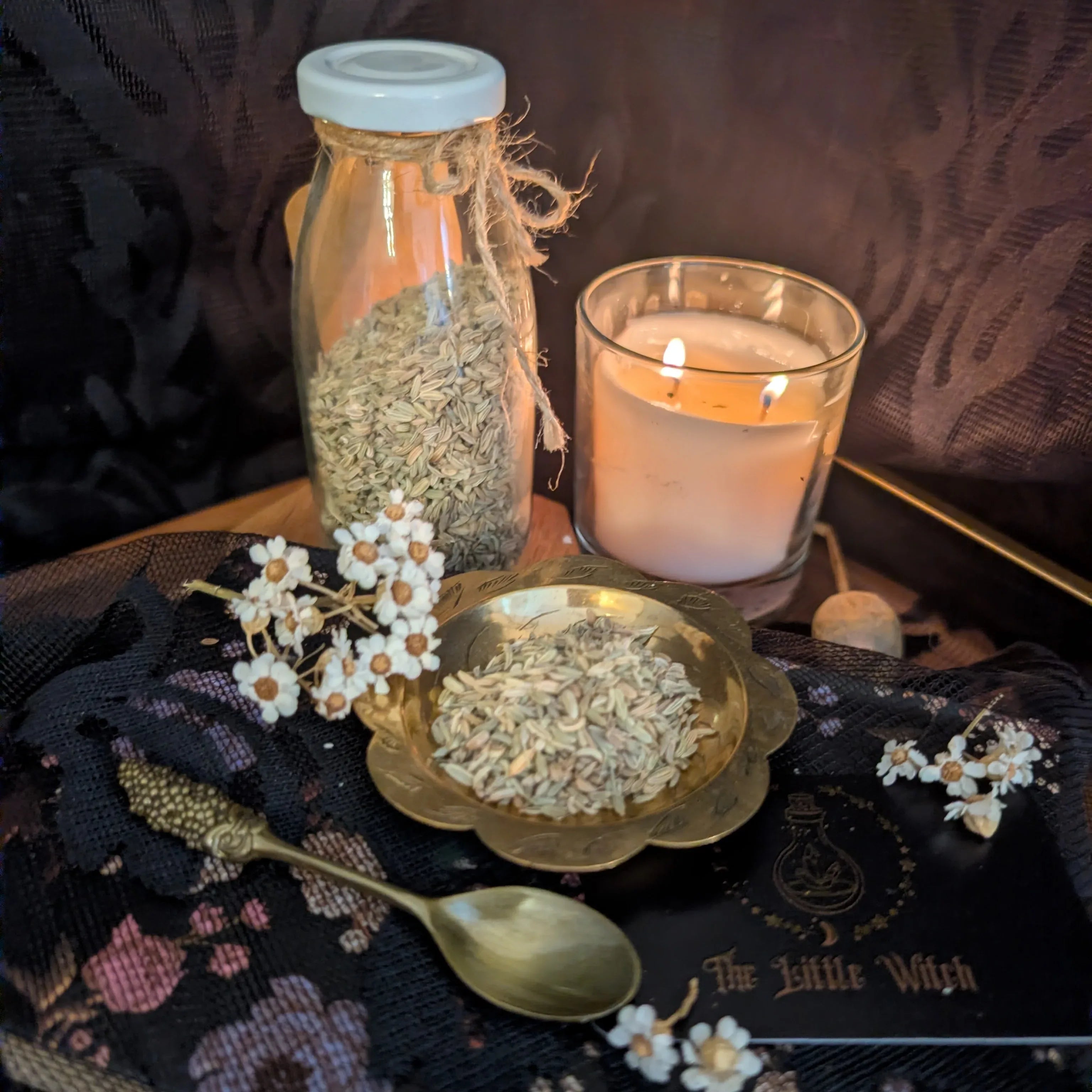 Fennel seeds upon a decorative brass bowl and inside a glass jar, surrounded by a lit candle, preserved botanicals and a moody dark backdrop