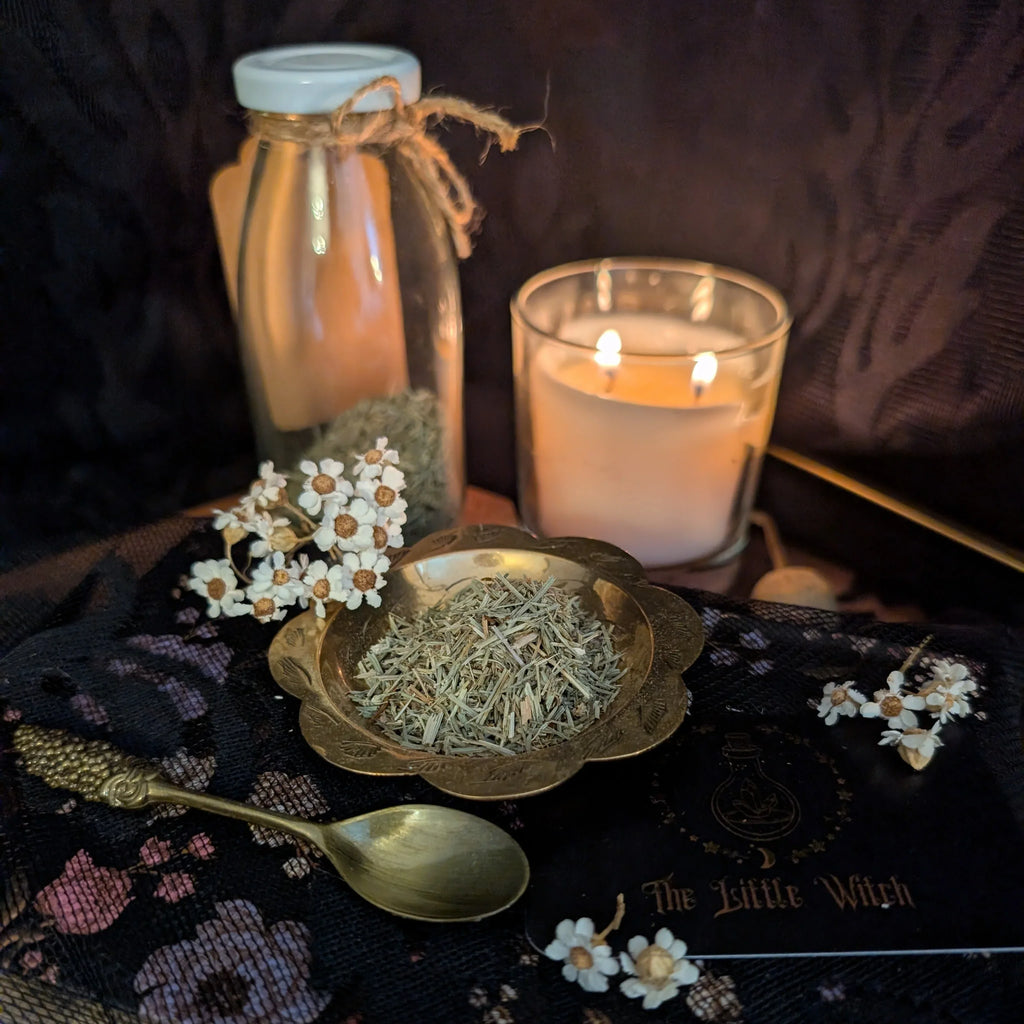 Horsetail herb in a bowl with a lit candle and bottle on a dark fabric background