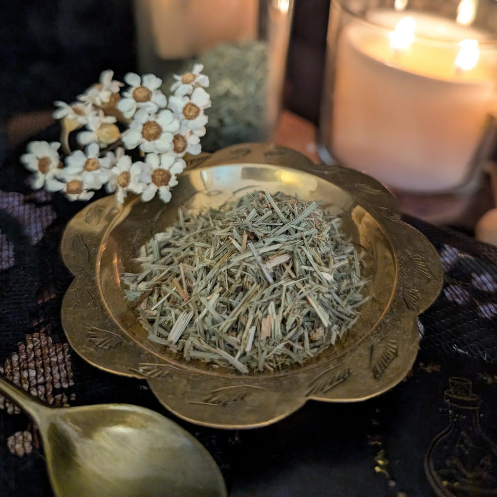 Horsetail herb in a brass dish with flowers and a candle in the background