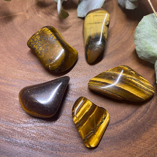 Tiger Eye