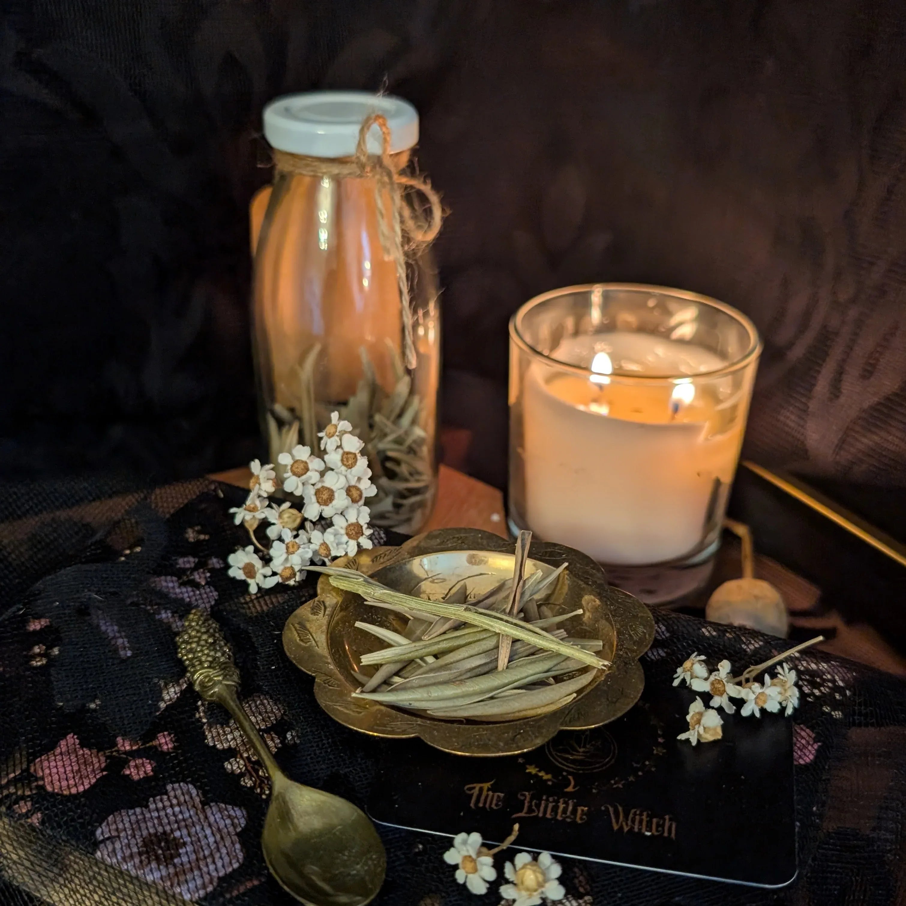 Candle, jar, and dried olive leaves on a dark surface with 'The Little Witch' branding.