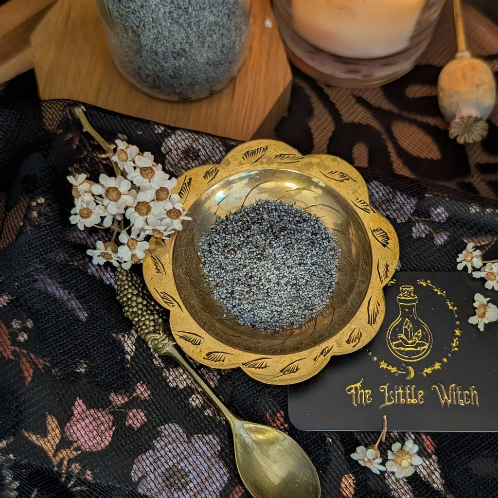 A dark moody scene with a gently flickering candlelight, a brass bowl and glass jar containing dried poppy seeds