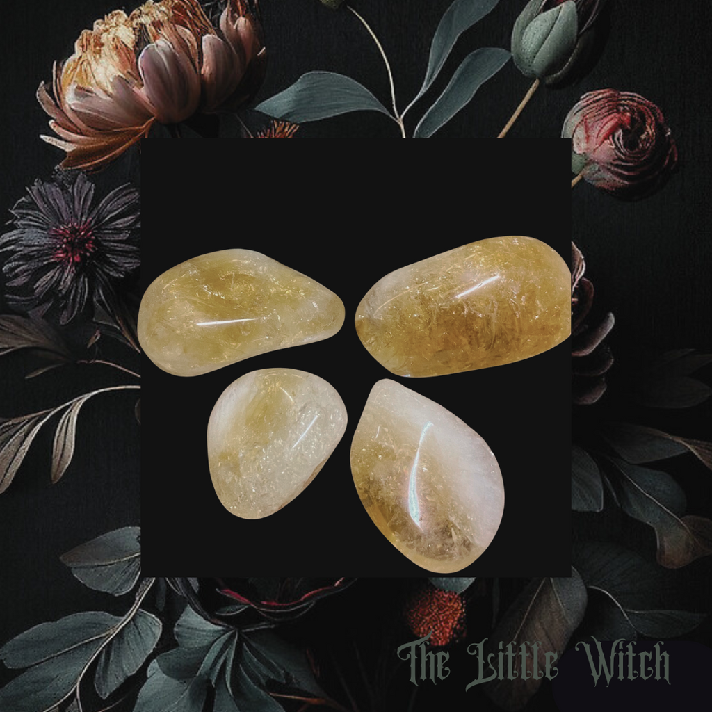 A collection of tumbled citrine crystals displayed on a dark background surrounded by floral elements, with the watermark 'The Little Witch' at the bottom.