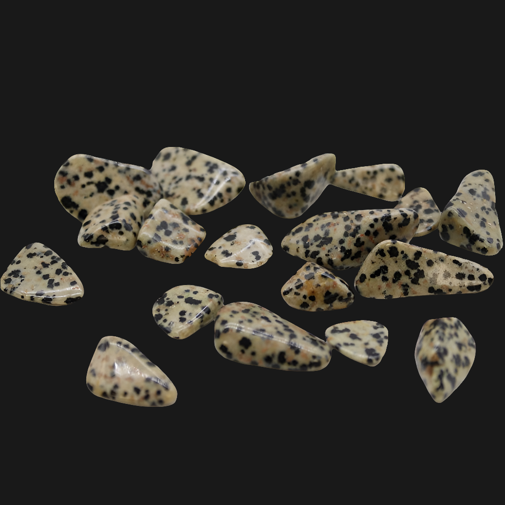 Dalmatian Jasper