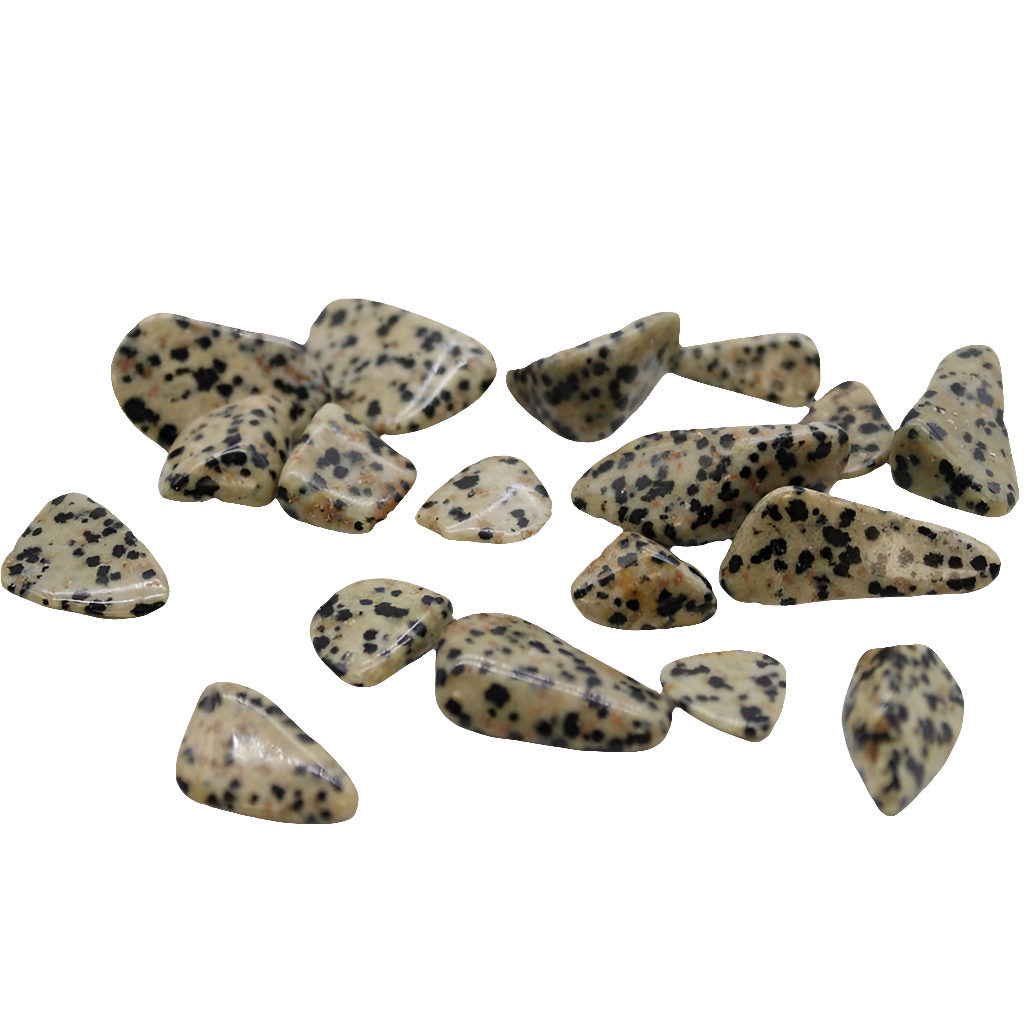 Dalmatian Jasper