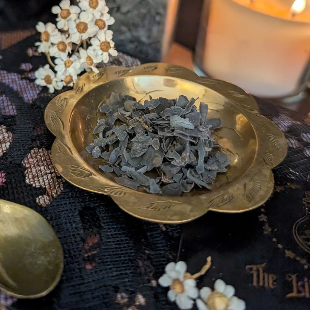 Gold dish with dried bladderwrack on a dark fabric background with white flowers.