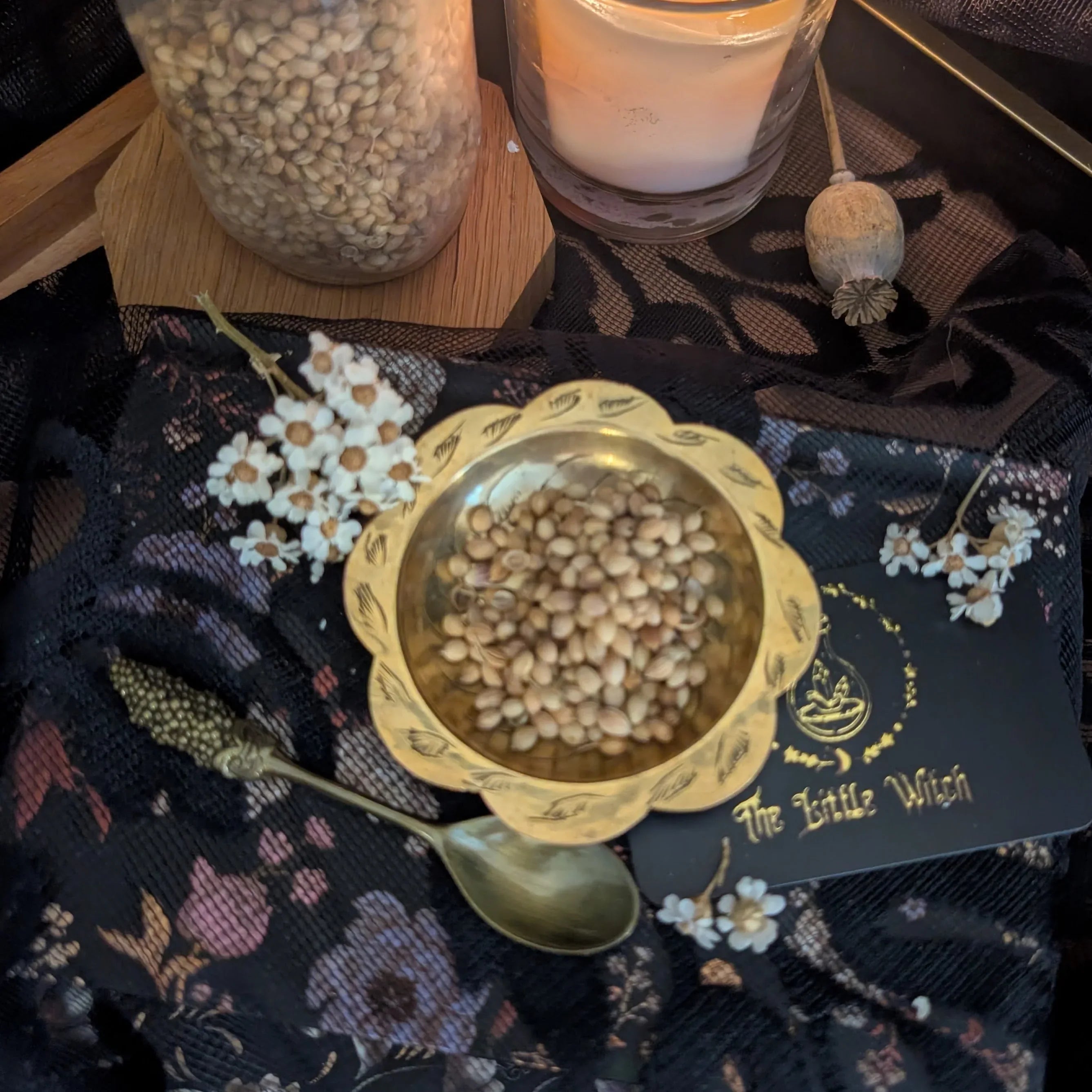 Decorative setup with a gold bowl of seeds, candle, and 'The Little Witch' book on a dark fabric background.