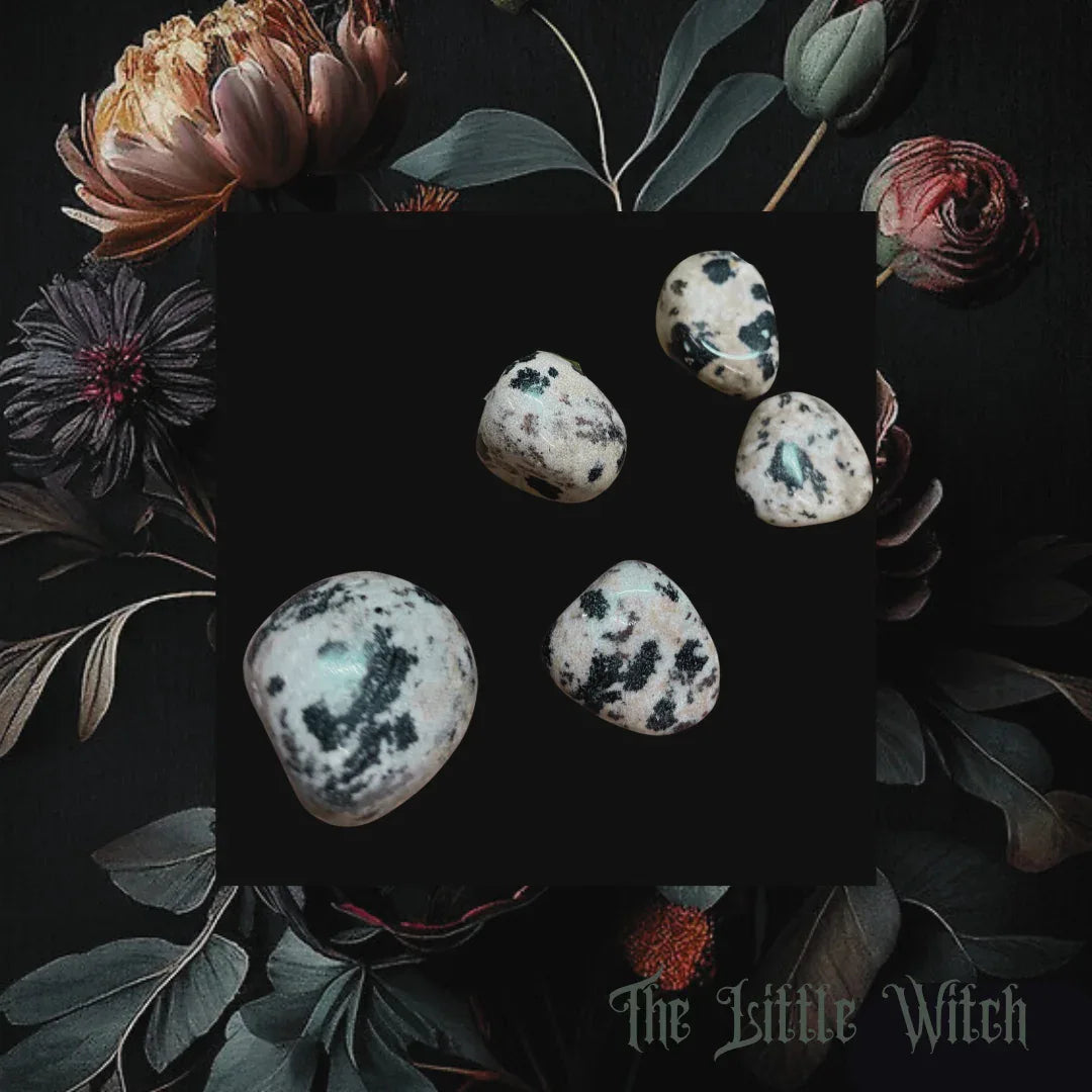 Five dalmatian jasper stones on a dark surface with flowers and leaves around, branded 'The Little Witch'.