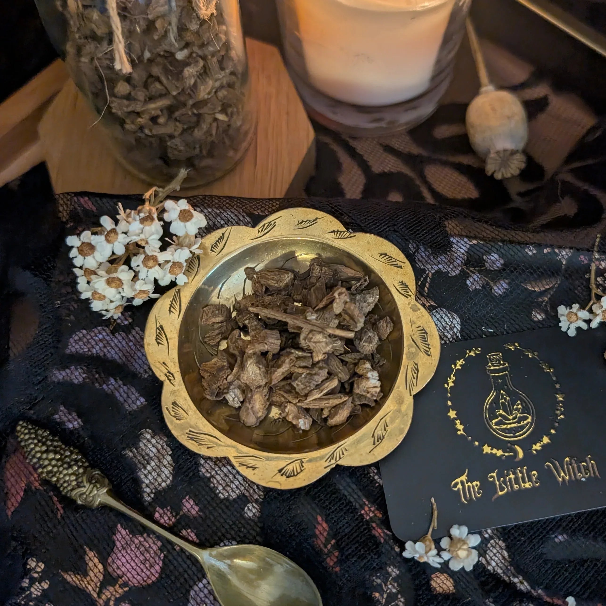 Gold bowl with dried herbs on a dark fabric background with 'The Little Witch' branding.