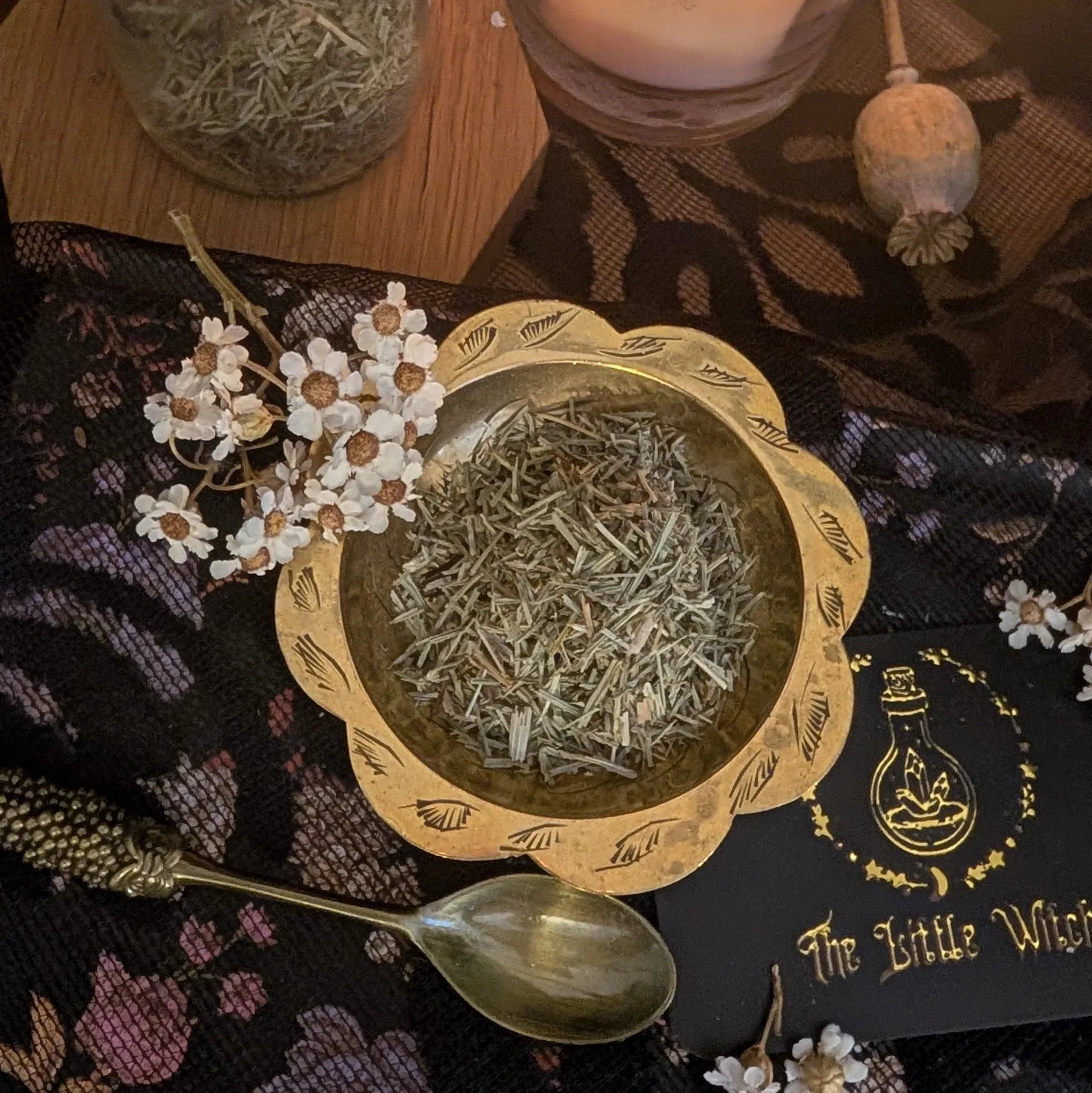 Gold bowl with horsetail dried herbs on a dark fabric background with 'The Little Witch' book.