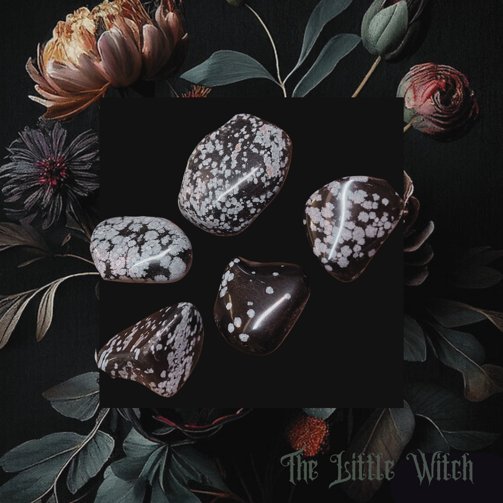 A collection of Snowflake Obsidian stones displayed on a dark background surrounded by floral elements, with a watermark saying 'The Little Witch'.