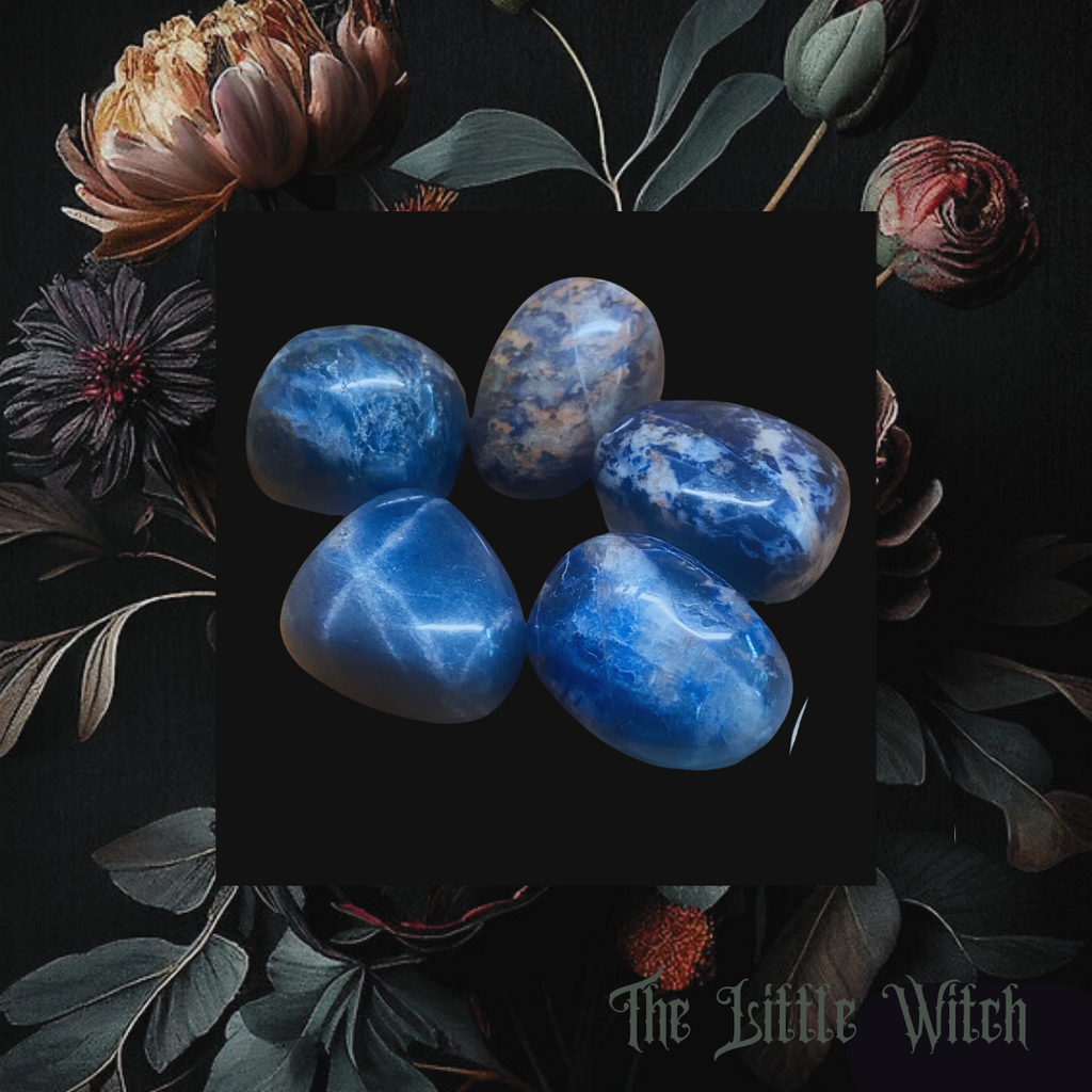 A collection of tumbled sodalite crystals displayed on a dark background surrounded by floral elements, with a watermark that reads 'The Little Witch'.